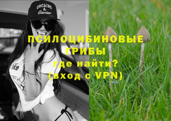 стаф Белокуриха