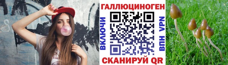 дарнет шоп  Нижние Серги  Галлюциногенные грибы прущие грибы 